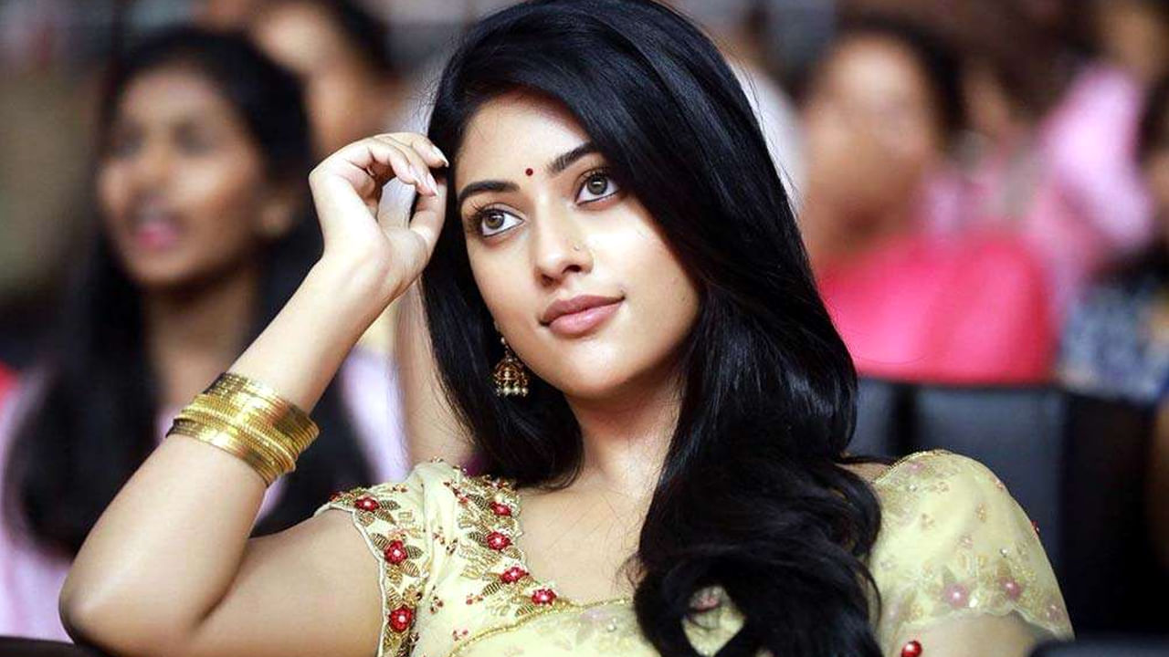 Anu Emmanuel: మాస్ రాజా సినిమా పైనే బోలెడన్ని ఆశలు పెట్టుకున్న బబ్లీ బ్యూటీ..