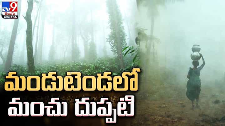 Araku Valley: వేసవిలోనూ మంత్రముగ్ధులను చేస్తున్న అరకు అందాలు Araku Valley: వేసవిలోనూ మంత్రముగ్ధులను చేస్తున్న అరకు అందాలు