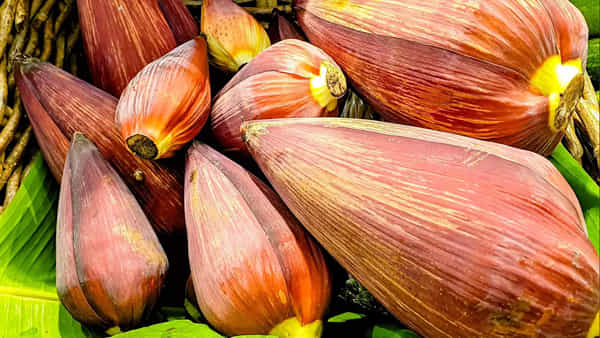 Banana Flower: పండు మాత్రమే కాదు, పువ్వు కూడా ప్రయోజనకరమే.. తీసుకుంటే రక్తహీనత, క్యాన్సర్కు చెక్..