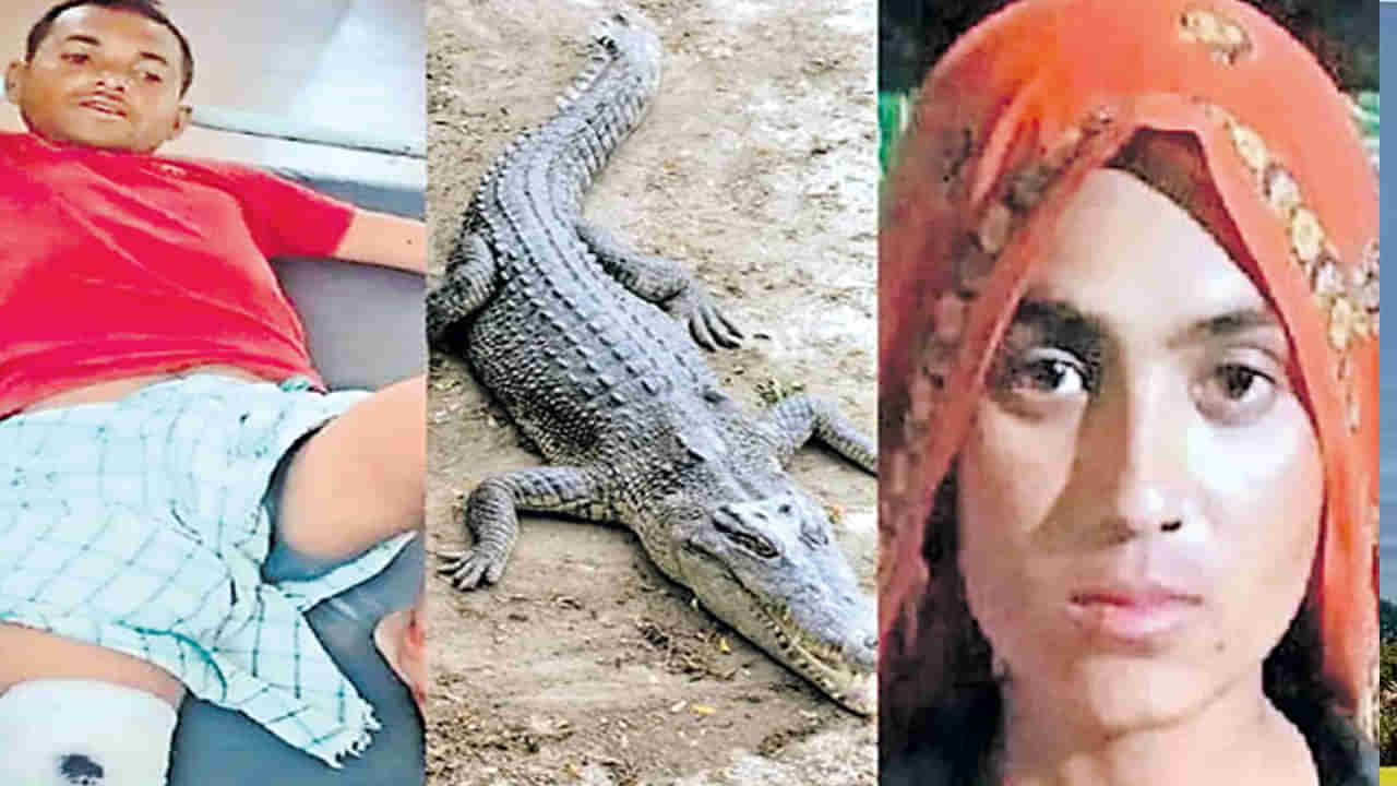 Crocodile: ప్రాణాలకు తెగించి మొసలి నుంచి  భర్తను కాపాడిన భార్య..ఎక్కడ జరిగిందంటే