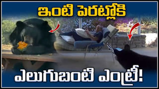 Actress Trolled: గర్భంతో ఉన్న నటిని.. బరబరా లాక్కుంటూ వెళ్లిన భర్త.. వీడియో వైరల్.