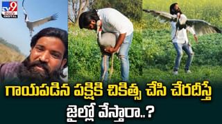 Viral News: ఈ చిత్రం చూశారా గురూ..! నీళ్ల మీద బండి నడిపిన మోతెవరి