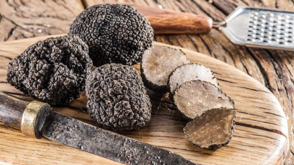 Black Truffle Mushroom