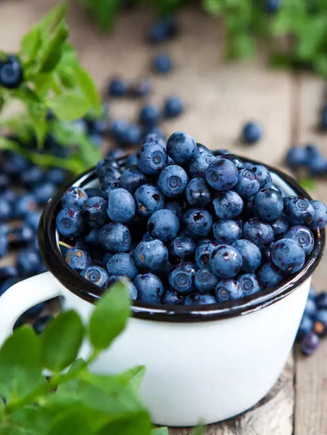 బ్లూబెర్రీస్ తినడం వల్ల కలిగే ప్రయోజనాలు.. TV9 Telugu