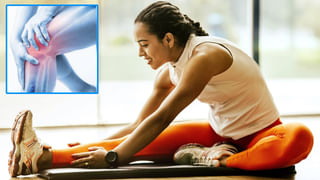 Ghee Chapati: నేతి చపాతీలు ఆరోగ్యానికి హానికరమా..? కొలెస్ట్రాల్ పెరుగుతుందా? వాస్తవం ఏంటో తెలుసుకోండి