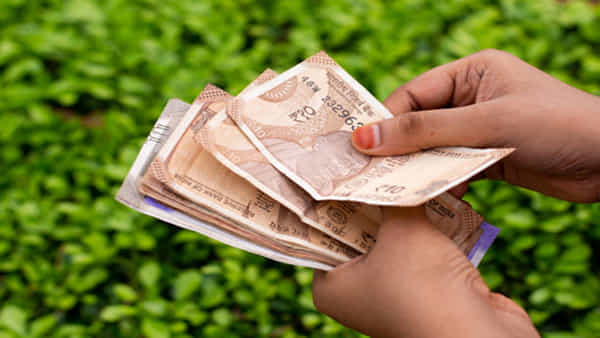 Business Ideas: ఈ బిజినెస్ చేస్తే 365 రోజులూ బిజీ బిజీనే.. ఫుల్ గిరాకీ.. డబ్బే డబ్బు