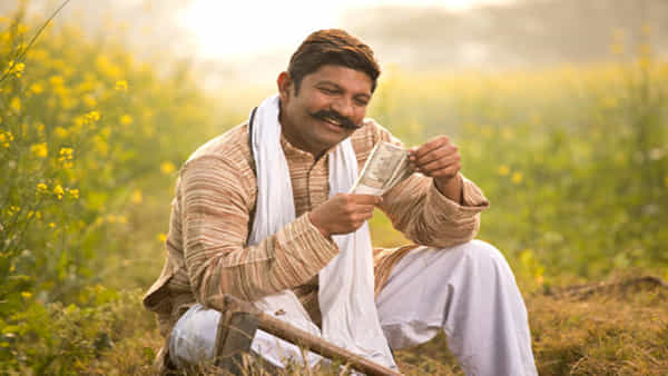 Business Ideas : అర ఎకరం పొలం ఉందా.. అయితే ఒక్క సారి పెట్టుబడి పెడితే చాలు...నెలకు రూ.50 వేలు, సంవత్సరానికి రూ. 6 లక్షలు పక్కా..