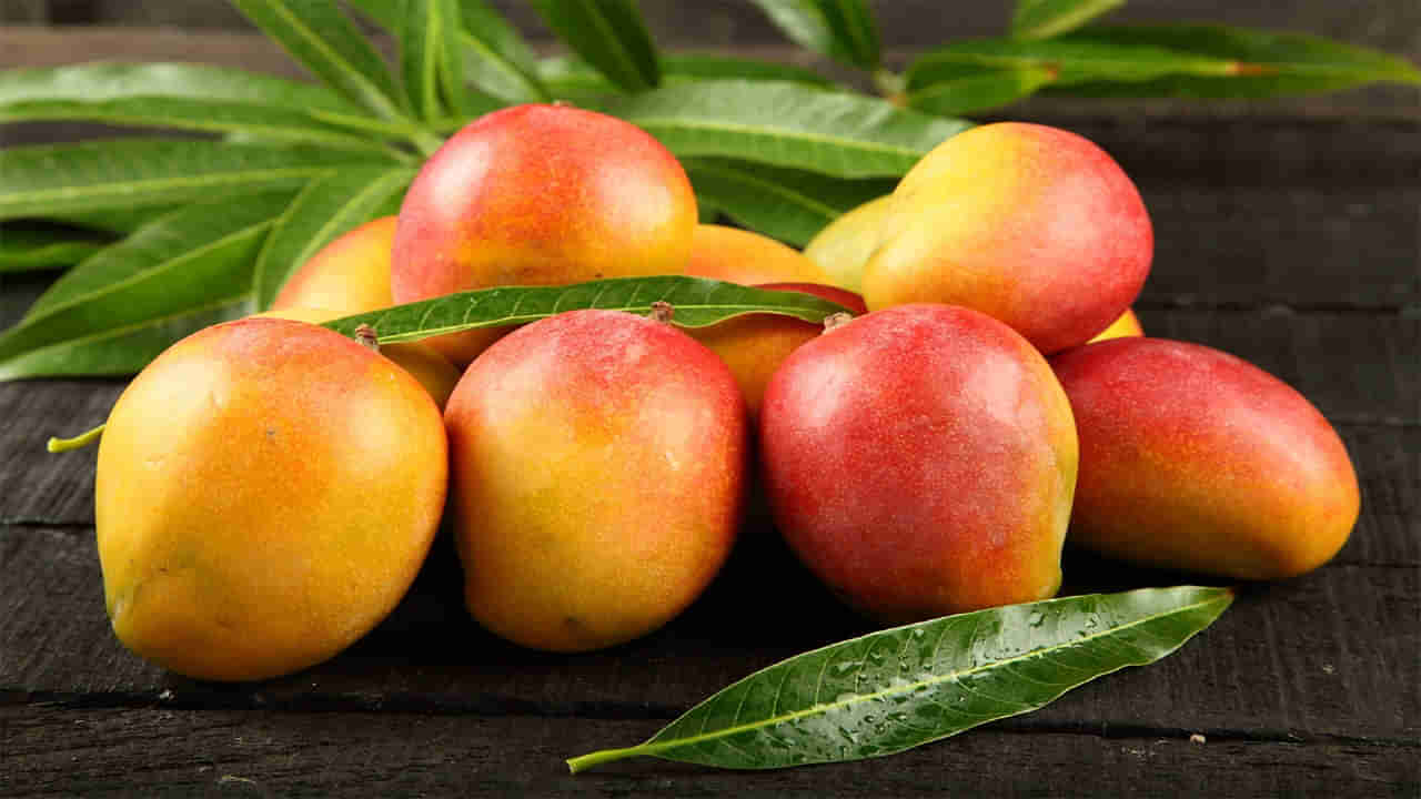 Can Diabetics Eat Mangoes: మధుమేహ వ్యాధిగ్రస్తులు మామిడి పండ్లు తినొచ్చా..? తినకూడదా..?