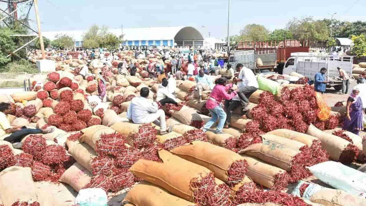 Chillies Price: మిర్చి ధరలు ఢమాల్‍.. కేవలం రెండు రోజుల్లోనే కన్నీరు మిగిల్చిన ఎర్రబంగారం