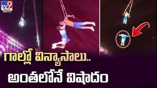 కోళ్లకోసం వచ్చి బావిలో పడిన ఎలుగుబంటి !! చివరికి  ఏం జరిగిందంటే ??