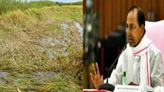 Etela Rajender: దమ్ముందా.. తేల్చుకుందాం రా..! రేవంత్ రెడ్డికి ఈటల రాజేందర్ సవాల్..