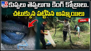 Nirmal District : కలెక్టర్‌ ఆఫీసుముందు పొర్లు దండాలు.. అధికారులే ఇలా చేస్తే ఎలా..?