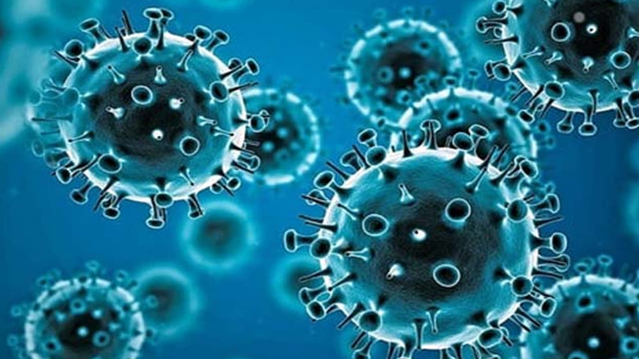 Corona Virus: పంజా విసురుతున్న కరోనా..24 గంటల్లో 10 వేలకు పైగా కేసులు నమోదు