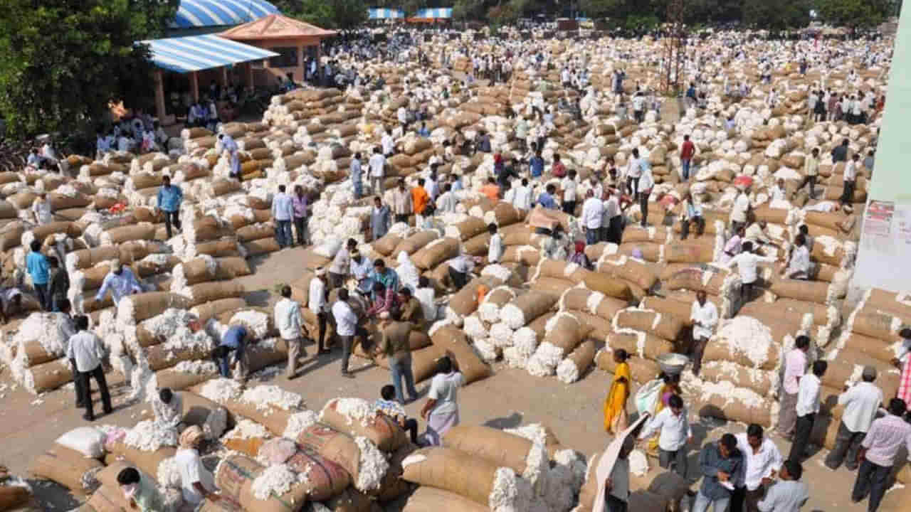 Andhra Pradesh: రైతులకు పండుగలాంటి వార్త.. ఆ మార్కెట్‌లో భారీగా పెరిగిన ‘పత్తి’ ధర..