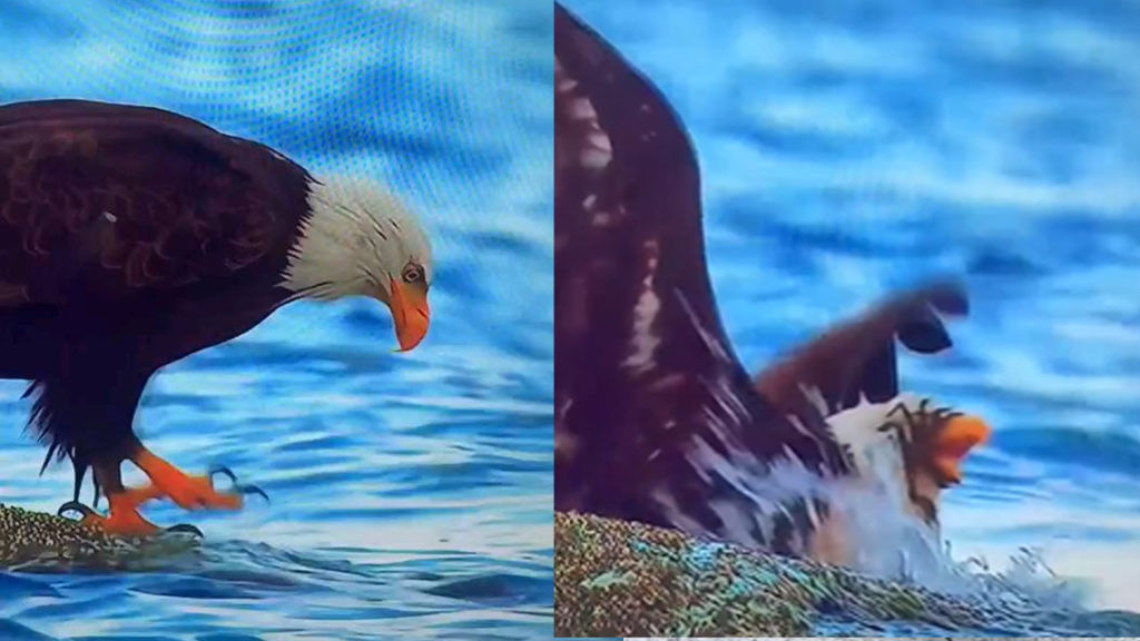 Crab Traps Eagle