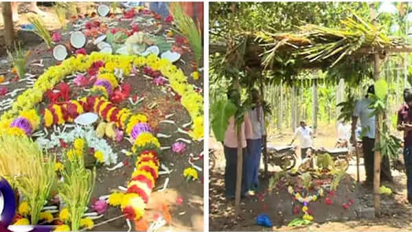 గాడిదలో దేవుడి రూపాన్ని చూసుకున్న గ్రామస్తులు.. మూగజీవికి సంప్రదాయబద్ధంగా దహన సంస్కారాలు..
