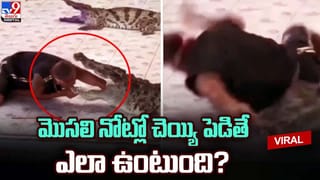 ఇంటి నిర్మాణం కోసం తవ్వకాలు.. బయటపడ్డ..