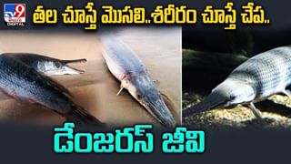 నేనున్నా.. అంటూ అమ్మానాన్నకు భరోసా ఇస్తున్న బాలుడు.. మెచ్చుకుంటున్న నెటిజన్లు