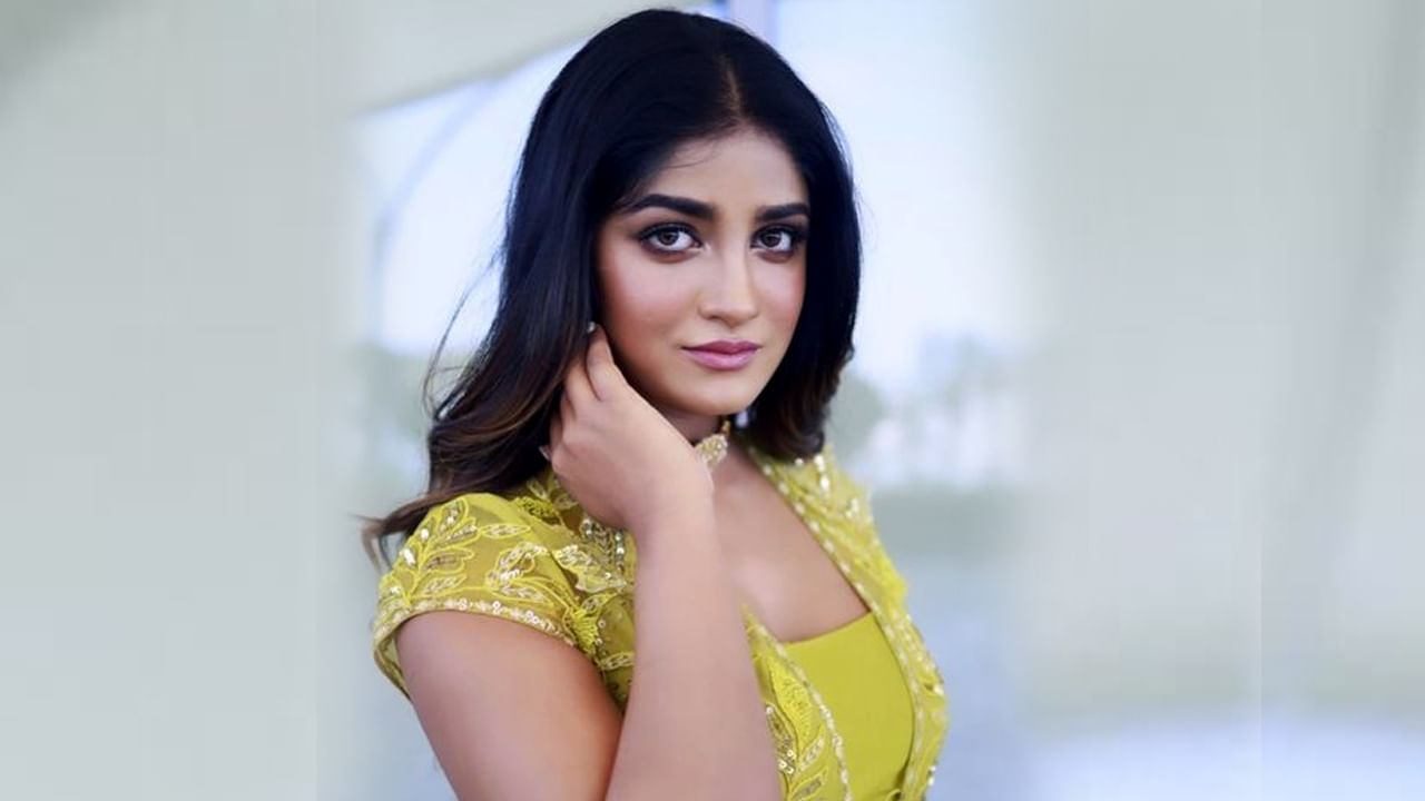 Dimple Hayathi: ‘వల్గారిటీ అంటే ఏంటీ ?’.. రిపోర్టర్ ప్రశ్నను సీరియస్‏గా తీసుకున్న డింపుల్ ఏకంగా..