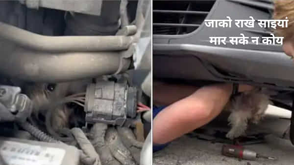 Watch: అయ్యో పాపం చిన్ని ప్రాణం.. కారు ఇంజిన్లో ఇరుక్కుపోయి 48 కిలోమీటర్లు నరకయాతన..!