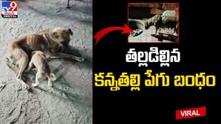 వేదిక‌పై పెళ్లి కొడుకు డ్యాన్స్.. రొమాంటిక్‌ కానే కాదని..