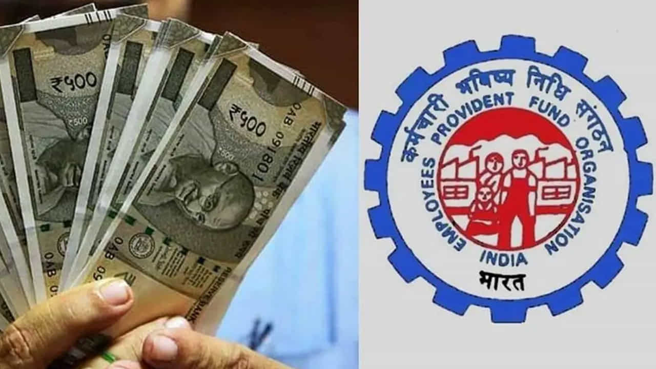 ముందుగా EPFO e-SEWA పోర్టల్కి వెళ్లండి. https://unifiedportal-mem.epfindia.gov.in/memberinterface/