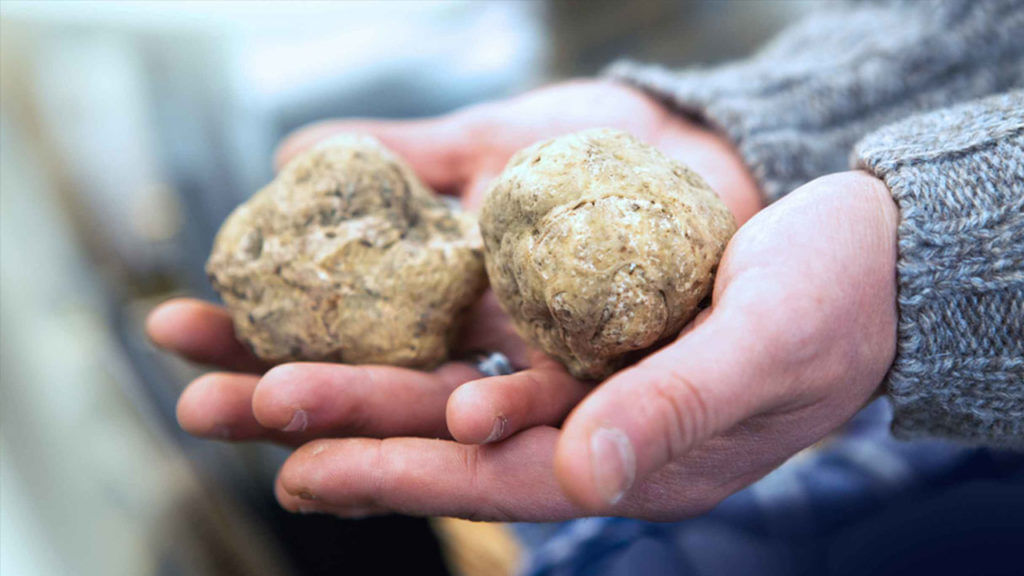 European White Truffle Mush