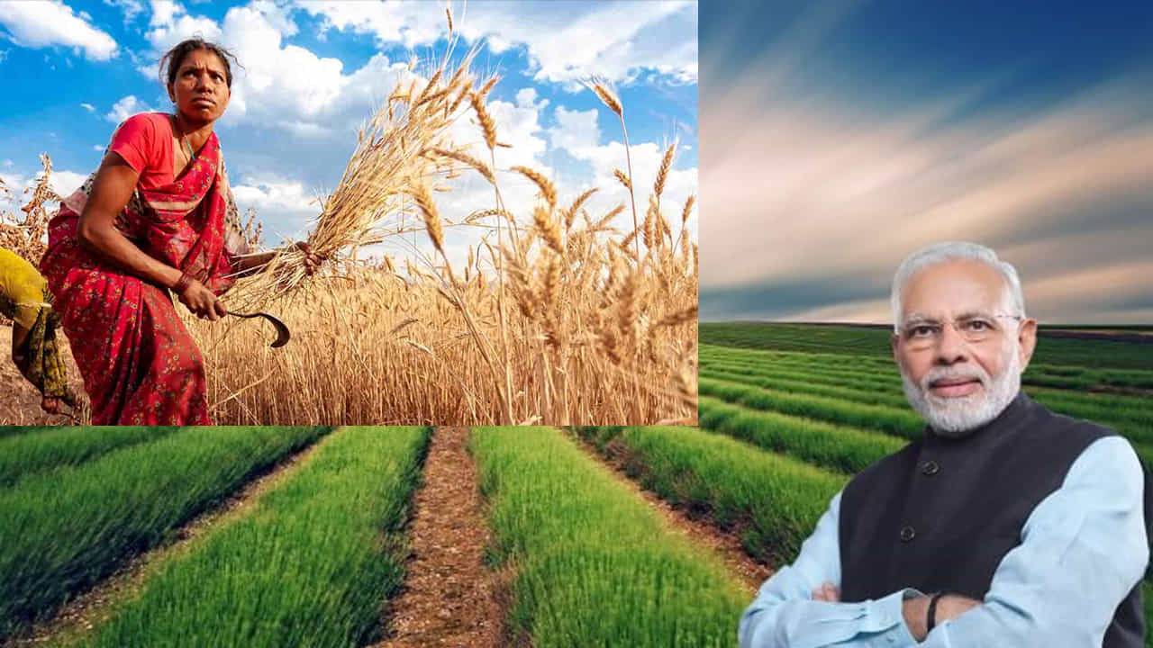 రైతుల ఉత్పాదకత పెరగడానికి, మార్కెట్ నుంచి సరైన రాబడిని పొందడానికి అత్యవసర, సమగ్ర చర్యలు తీసుకోవడం