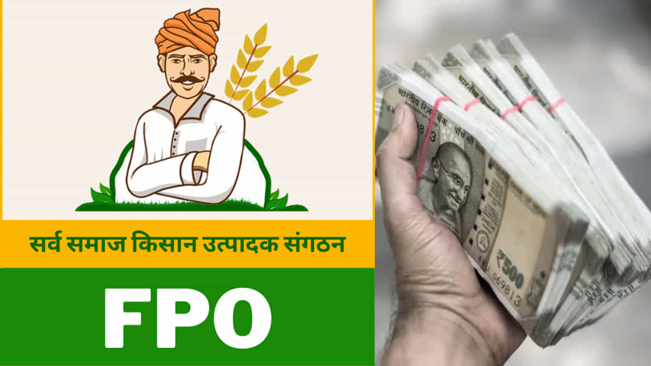 రైతులను ఆత్మనిర్భర్ (స్వావలంబన) గా మార్చడంతోపాటు ఆర్థిక సంక్షోభం నుంచి వారికి ఉపశమనం కలిగించడమే పీఎం కిసాన్ ఎఫ్పీఓ పథకం లక్ష్యం. ఈ పథకం ప్రయోజనాన్ని పొందడానికి, రైతులు కలిసి ఒక సంస్థ లేదా కంపెనీని (FPO) ఏర్పాటు చేసుకోవాలి. అందులో కనీసం 11 మంది రైతులు ఉండాలి. FPO అనేది రైతుల కోసం పనిచేసే రైతులు, ఉత్పత్తిదారుల ఒక రకమైన సమగ్ర సంస్థ అని అధికారులు పేర్కొంటున్నారు. ప్రభుత్వ లక్ష్యం ఏంటో సమగ్రంగా తెలుసుకోండి..