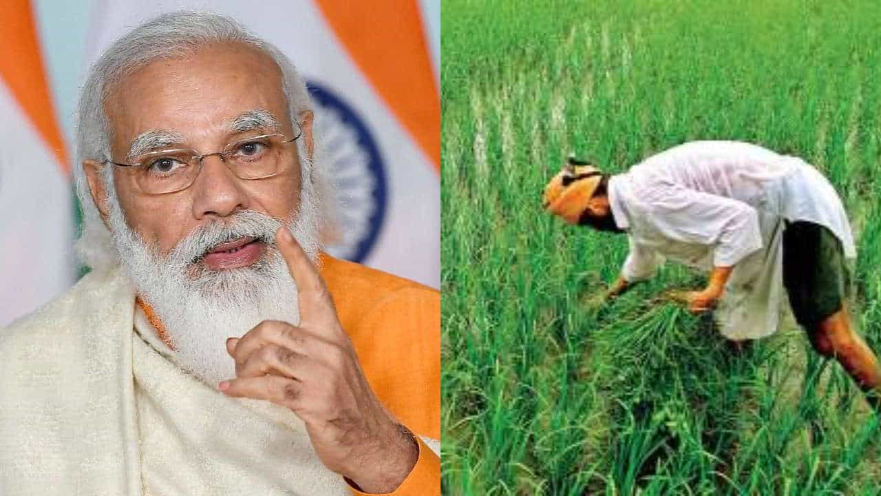 5 సంవత్సరాల వరకు ప్రభుత్వం వైపు నుంచి కొత్త FPOకి హ్యాండ్ హోల్డింగ్, సపోర్ట్ అందించడం.