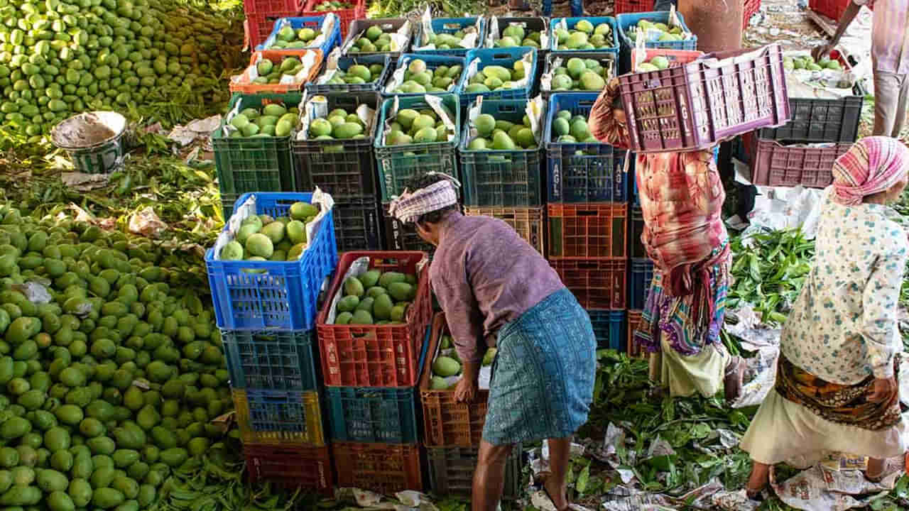 Hyderabad: 20 రోజుల క్రితం మిస్సైన అసిస్టెంట్ ప్రొఫెసర్.. నిఘా పెట్టగా.. ఓ పండ్ల మార్కెట్‌లో రోజువారీ కూలీగా...