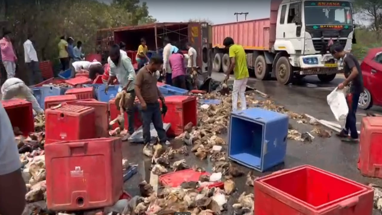 మీ కక్కుర్తి తగలెయ్యా.. మేక తలకాయలు, కాళ్లతో వెళ్తున్న లారీ బోల్తా.. ఎగబడ్డ జనాలు.
