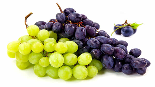 Black Grapes VS Green Grapes: మన ఆరోగ్యానికి బ్లాక్ గ్రేప్స్ మంచిదా.. గ్రీన్ గ్రేప్స్తో లాభమా.. నిపుణులు ఏమంటున్నారంటే..