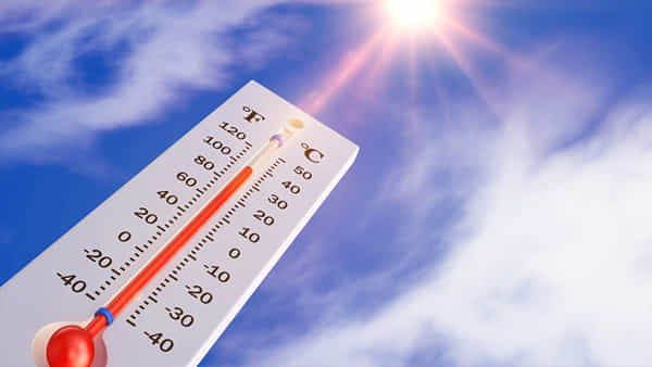 Summer: ఎండలు బాబోయ్..ఎండలు.. ఆ వేడుకకు వచ్చిన 11 మంది