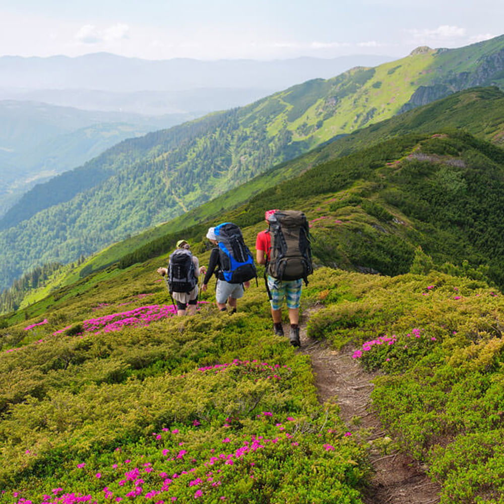 ప్రథమ చికిత్స కిట్ మీరు మీ కుటుంబ సభ్యులు, స్నేహితులతో ప్రయాణించినప్పుడు కొన్ని సార్లు గాయపడటం జరుగుతుంది. అటువంటి పరిస్థితిలో ప్రథమ చికిత్స కిట్ వెంట ఉంటే చికిత్స చేయవచ్చు. అందుకే దీనిని మరిచిపోవద్దు.