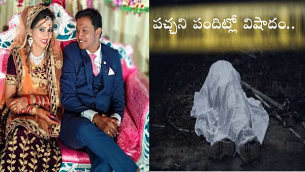 Home Theatre Explosion: నవ వరుడి మృతి కేసులో బిగ్ ట్విస్ట్.. వెలుగులోకి సంచలన నిజం..