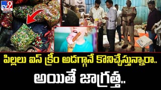 అరుదైన కోతులు చైనాకు తరలింపు.. అందుకేనా ??
