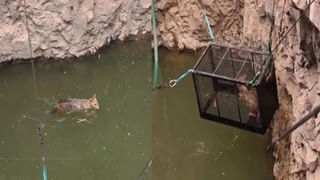 Helmet: హెల్మెట్ లేకుండా స్కూటీపై వెళ్తున్న మహిళా పోలీసులు.. నెటీజన్లు ఆగ్రహం