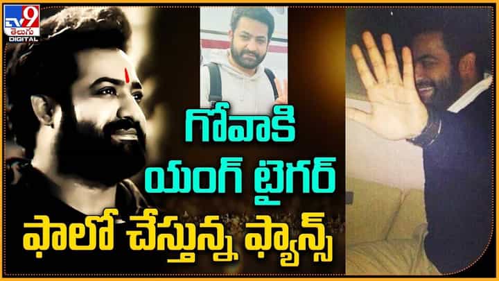 Jr NTR: గోవాకి యంగ్ టైగర్.. ఫాలో చేస్తున్న ఫ్యాన్స్ Jr NTR: గోవాకి యంగ్ టైగర్.. ఫాలో చేస్తున్న ఫ్యాన్స్