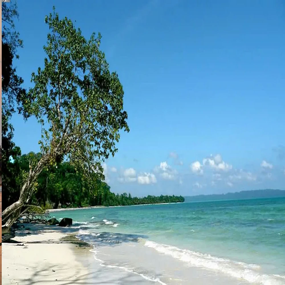 కాలా పత్తర్ బీచ్: అండమాన్, నికోబార్లో కొలువై ఉన్న ఈ బీచ్ చుట్టూ ఎన్నో ప్రకృతి అందాలు ఉన్నాయి. కొత్తగా పెళ్లైనవారు ఇక్కడికి ఎక్కువగా వస్తుంటారు.