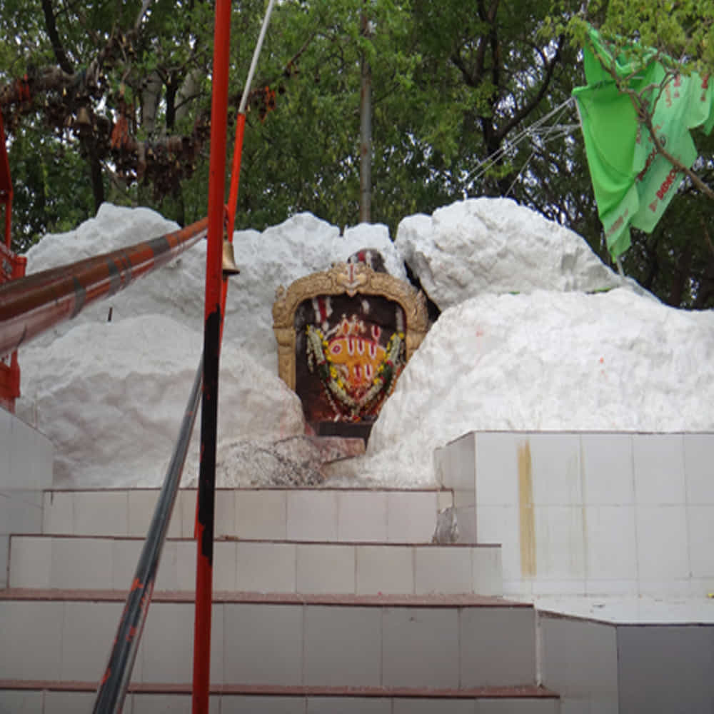 దశావతారాలలో మూడవ అవతారం వరాహావతారం ఈ .వరాహ అవతారం లో జల ప్రళయం లో చిక్కుకున్న ఈ భూమండలాన్ని తన కోరల మీద అదిదేవుడు రక్షించాడని పురాణాలూ చెబుతున్నాయి.