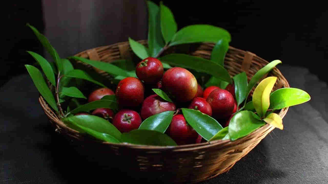 Summer Fruit: ఇది పండు కాదు, పోషకాల నిధి.. తిన్నారంటే ఆ సమస్యలకు చెక్.. అదనంగా ఎన్నో ఆరోగ్య ప్రయోజనాలు..