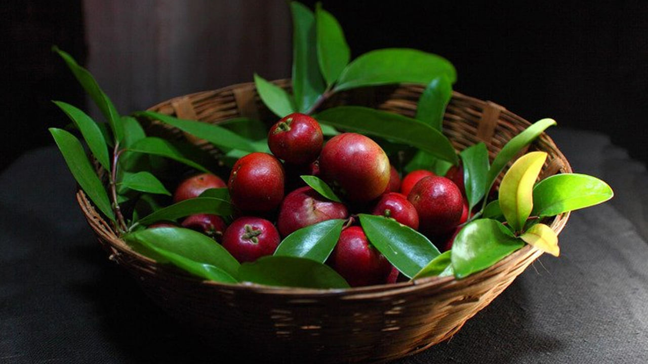 Summer Fruit: ఇది పండు కాదు, పోషకాల నిధి.. తిన్నారంటే ఆ సమస్యలకు చెక్.. అదనంగా ఎన్నో ఆరోగ్య ప్రయోజనాలు..