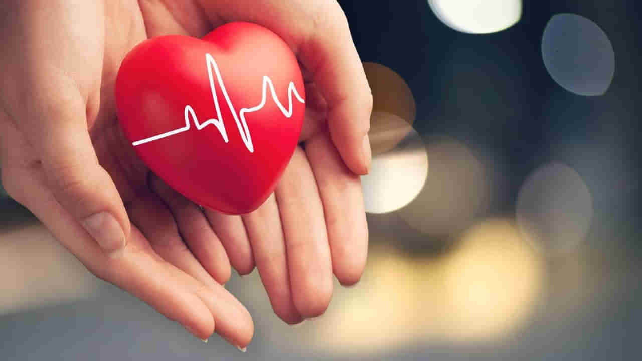 Healthy Heart: మీ చిట్టి గుండె ఆరోగ్యం కోసం రూ.2 ఖర్చు చేస్తే చాలు.. అదనంగా ఇంకెన్నో ప్రయోజనాలు కూడా..