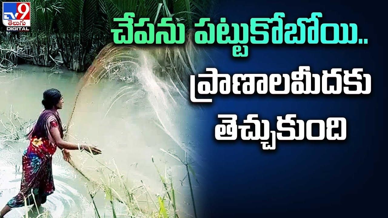 మహిళ గొంతులో ఇరుక్కున్న చేప.. అతి కష్టంమీద..