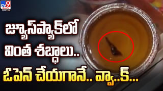 Viral Video: ఎంట్రా ఇది.. నెవ్వర్ బిఫోర్.. ఎవ్వర్ ఆఫ్టర్.. ఎలుగుబంటికి ఎదురుపడ్డ మనిషి..! ఆ తరువాత