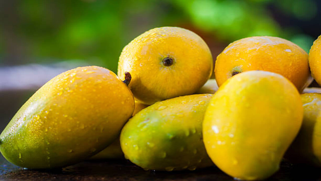 Soak Mangoes: మామిడి పండ్లను నీటిలో నానబెట్టి తినడం వల్ల కలిగే ప్రయోజనాలు ఇవే.. లేకపోతే ప్రమాదంలో పడ్డట్టే..