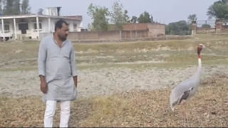 Karnataka Election: ‘కర్ణాటక గర్వం.. నందిని ఈజ్ ది బెస్ట్’.. మిల్క్ పార్లర్‌కు వెళ్లి ఐస్‌క్రీం తిన్న రాహుల్ గాంధీ..