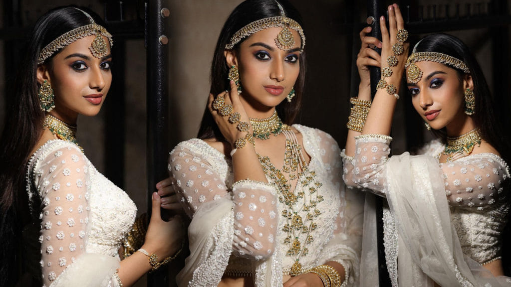 Meenakshi Chaudhary (9)