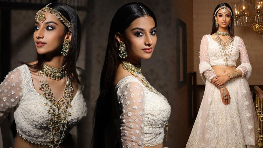 Meenakshi Chaudhary (9)